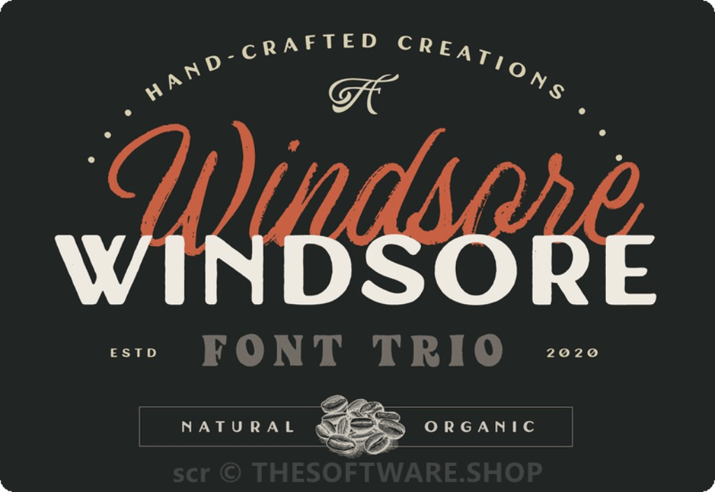 AF Studio Windsore Font Trio download sale