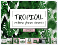Free Pattern  Graphics Design: Tropical Patterns, Frames, Elements + Bonus! + Commercial License