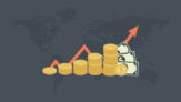 Value Investing and Stock Market Fundamentals