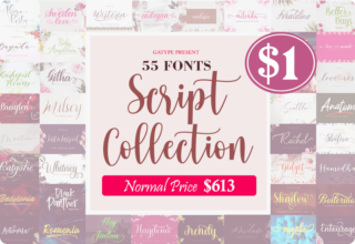 99% Off on The Script Collection Bundle: 55 gorgeous fonts  with Lifetime Commercial License
